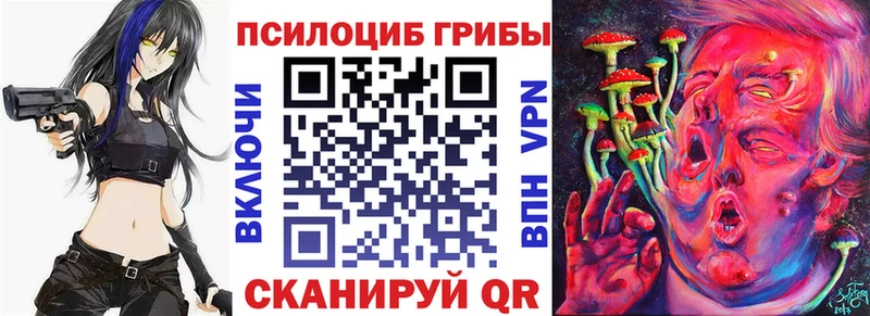 Галлюциногенные грибы мухоморы  hydra ссылки  Новосибирск  где можно купить наркотик 